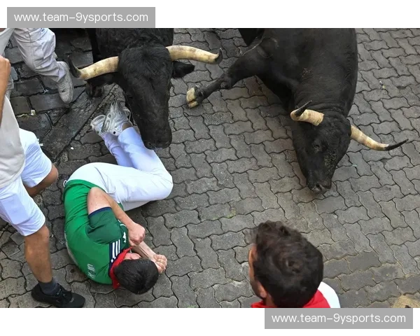 烈焰与奔牛：澳大利亚与西班牙的文化碰撞与风情探戈